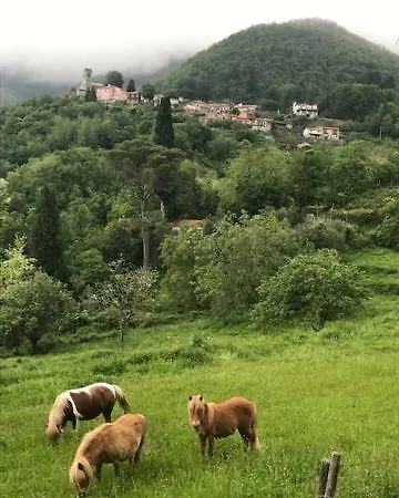 Apartman All'ombra Del Castello Calice al Cornoviglio